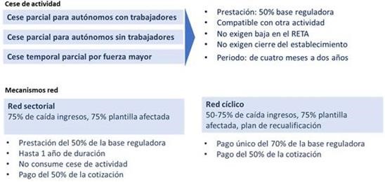 Cese Actividad