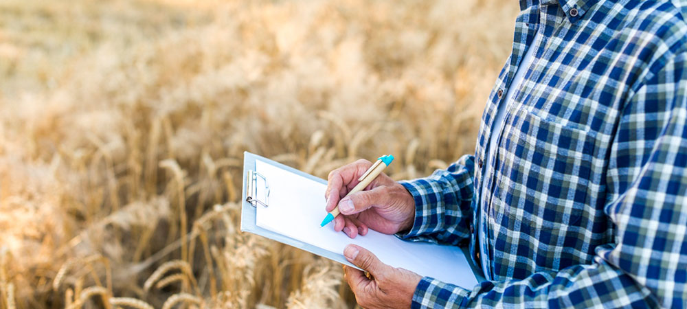 índices en actividades agrícolas y ganaderas